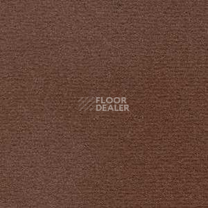 Ковролин Radici Nexus Visone 8204 фото 1 | FLOORDEALER